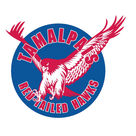 Tamalpais Red-Tailed Hawks