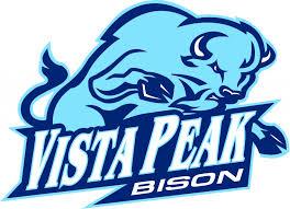 Vista Peak Bison