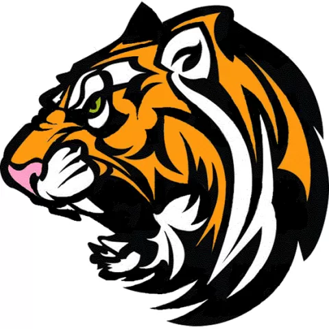 Warsaw Tigers