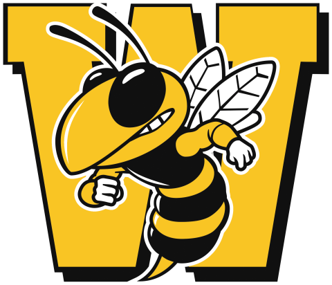 Wasatch Wasps