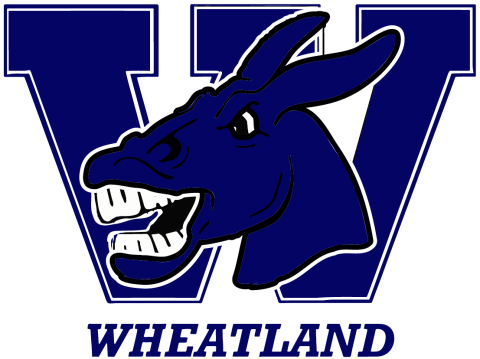 Wheatland Mules