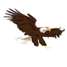 Whittier Eagles