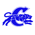 Capital Cougars