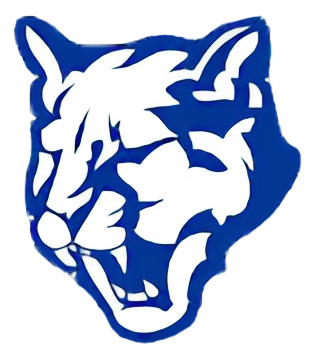 Owen D. Young Central Wildcats